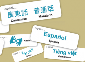 Examples of language badges